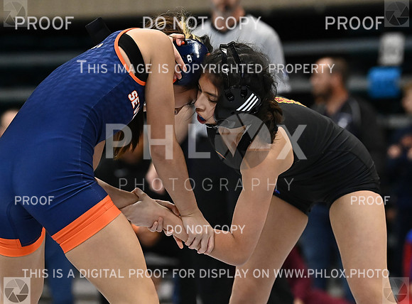 DLS_1094