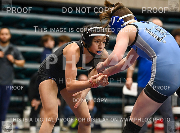 DLS_2351