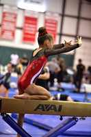 Stars Gymnastics Training Center Houston