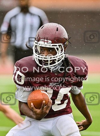 DLS_8543