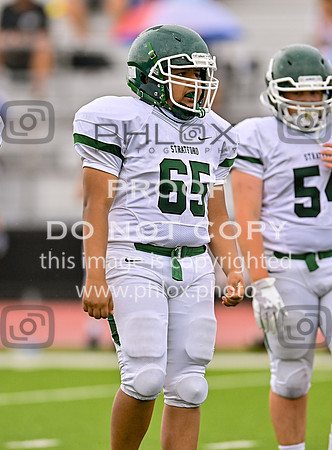 DLS_8691