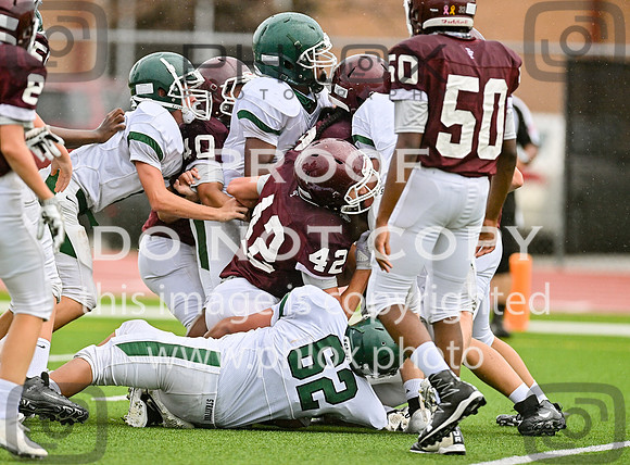 DLS_8602