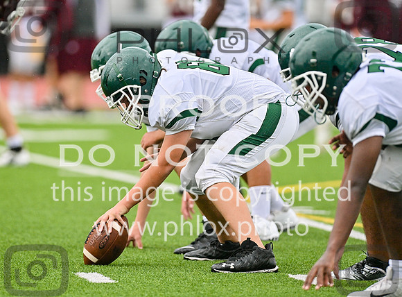 DLS_8629