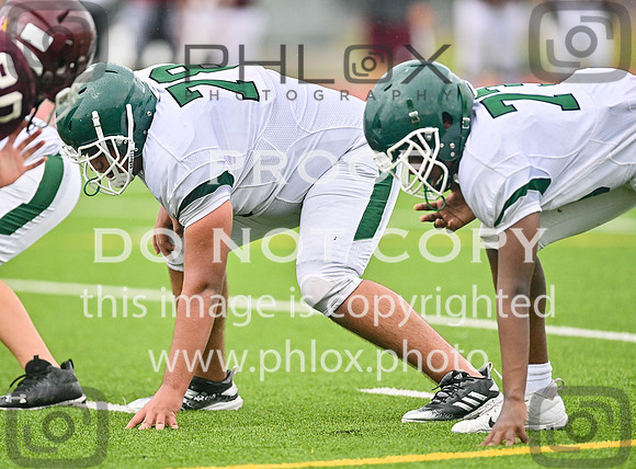 DLS_8621