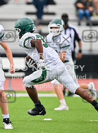 DLS_8635