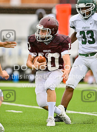 DLS_8562