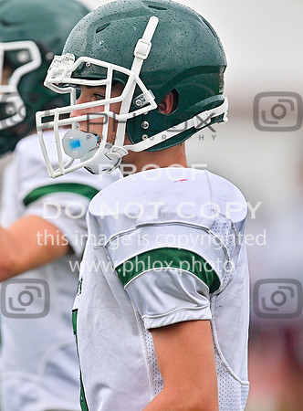 DLS_8670