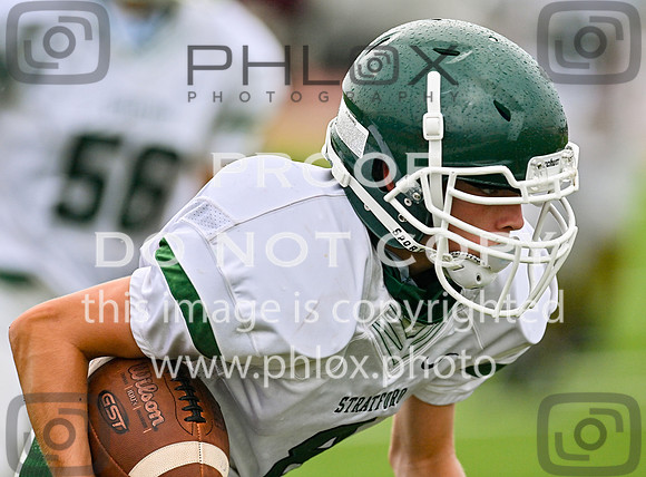 DLS_8663