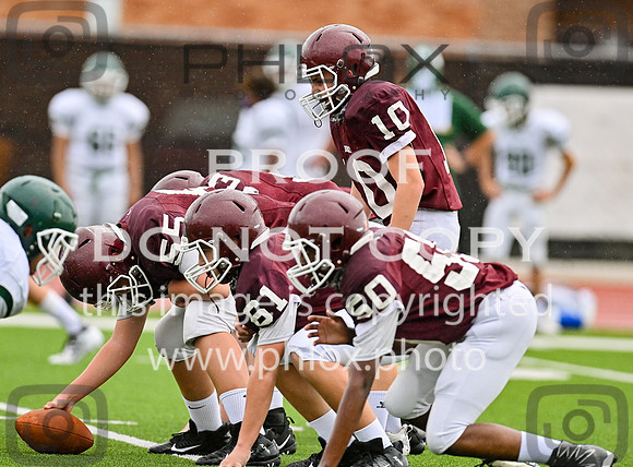 DLS_8570