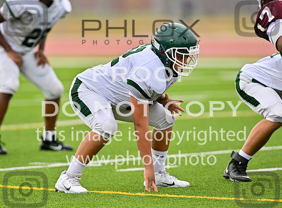 DLS_8701