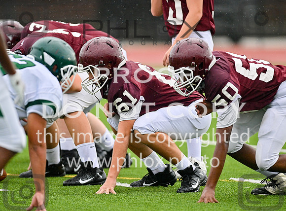 DLS_8548