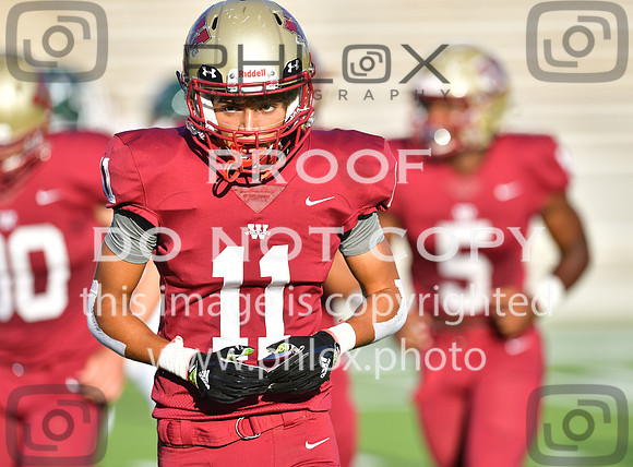 TOM_2223