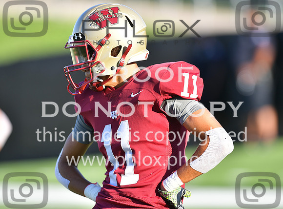 TOM_2148