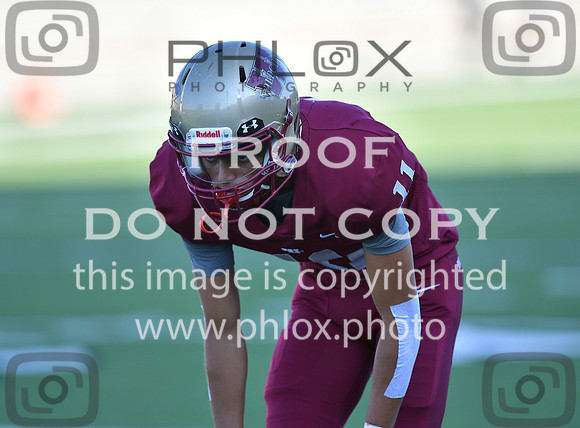 TOM_2039