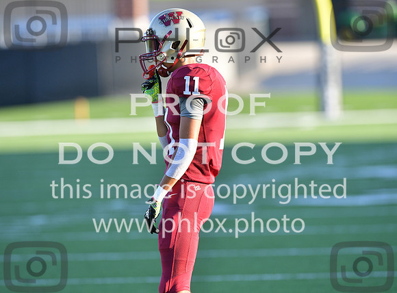 TOM_2572