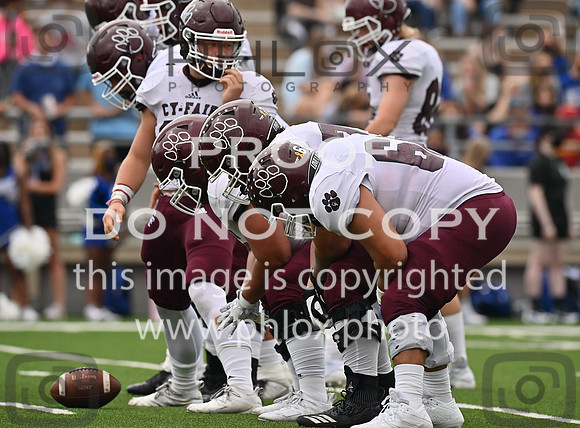 DLS_5132