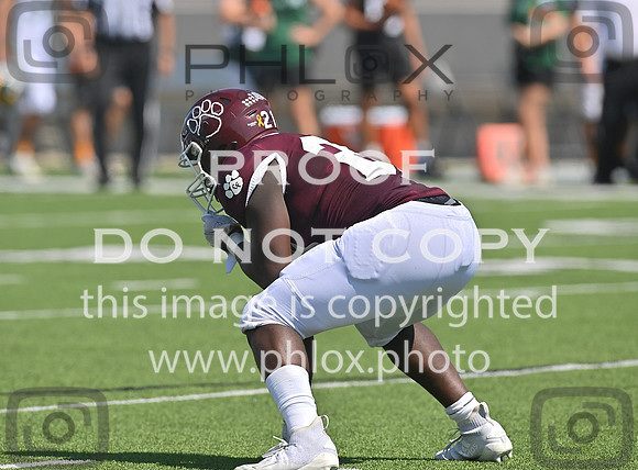 DLS_0019