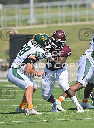 DLS_0038