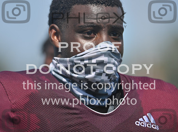 DLS_0187