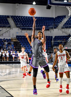 FDS_4316