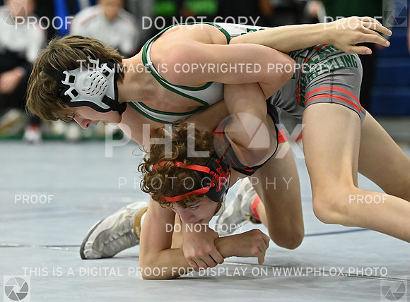 DLS_5890