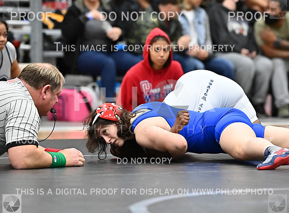 DLS_6101