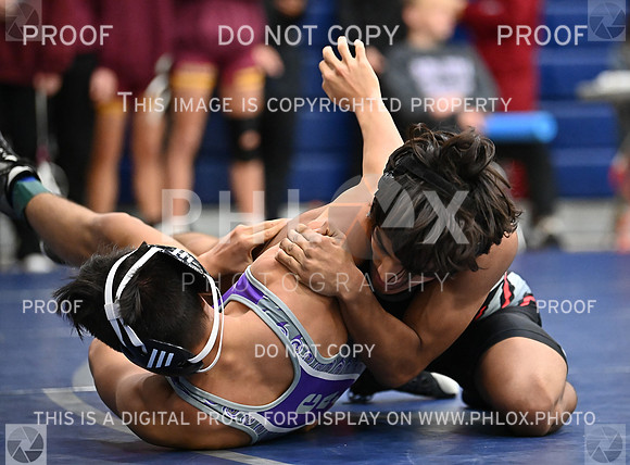 DLS_5961