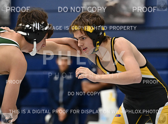 DLS_5928