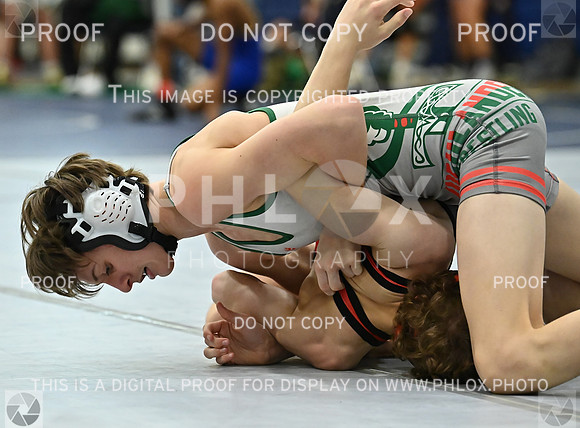 DLS_5901