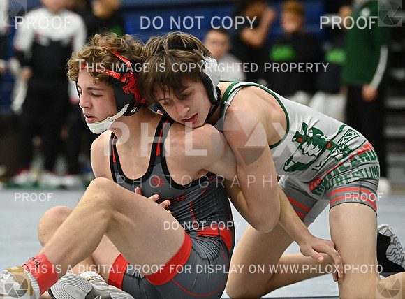 DLS_5912
