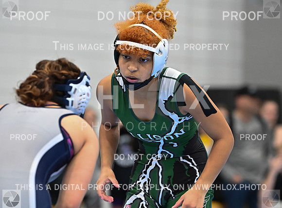 DLS_5934