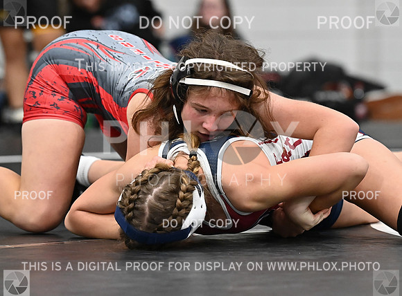 DLS_6094