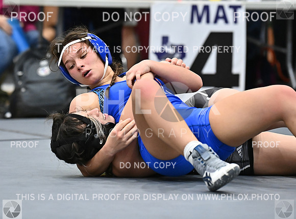 DLS_6102