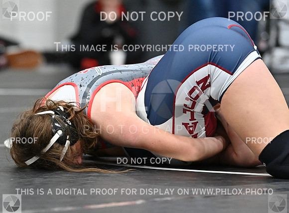 DLS_6100
