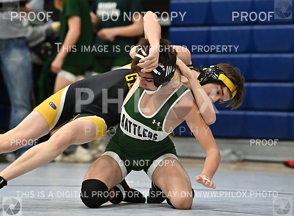 DLS_5925