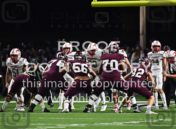 DLS_8096