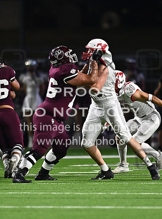 DLS_8085