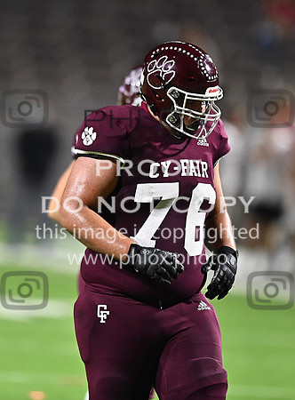 DLS_8662