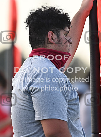 DLS_6038