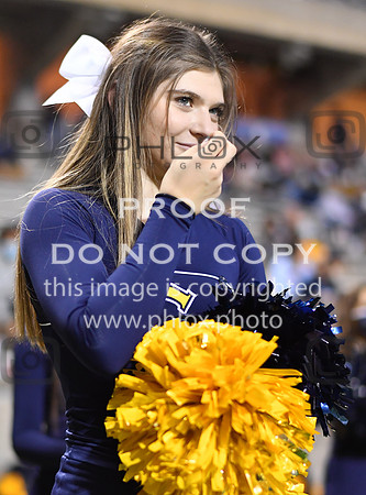 ND5_3396
