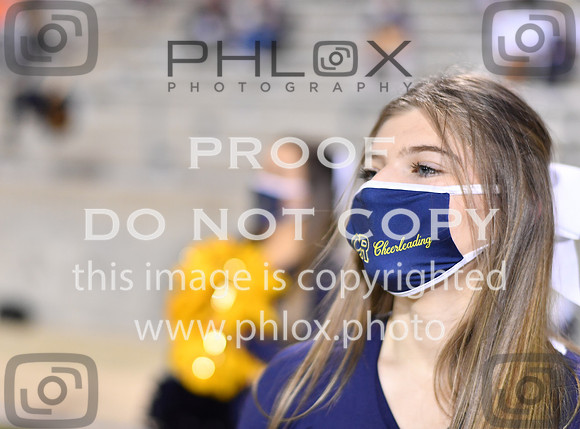 ND5_2460
