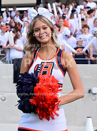 TOM_4910