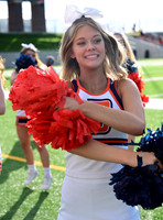 TOM_5151