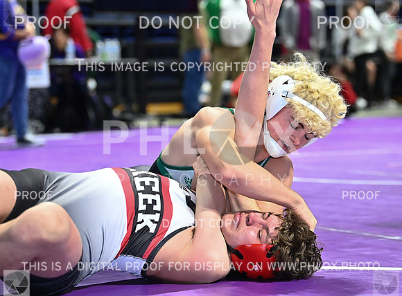 DLS_0884