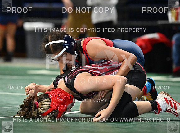 DLS_0639