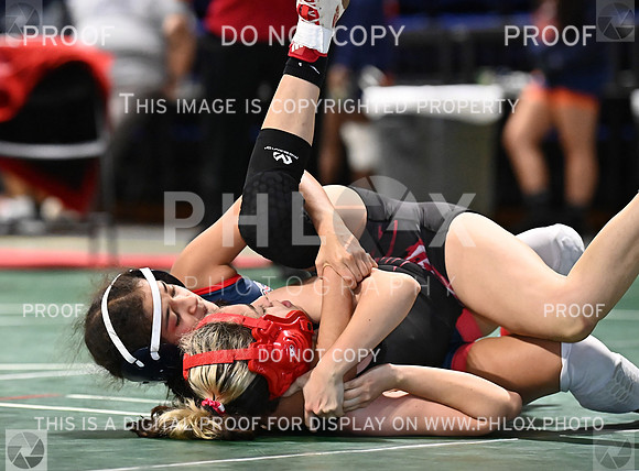 DLS_0643
