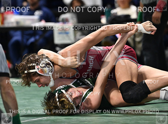 DLS_0874