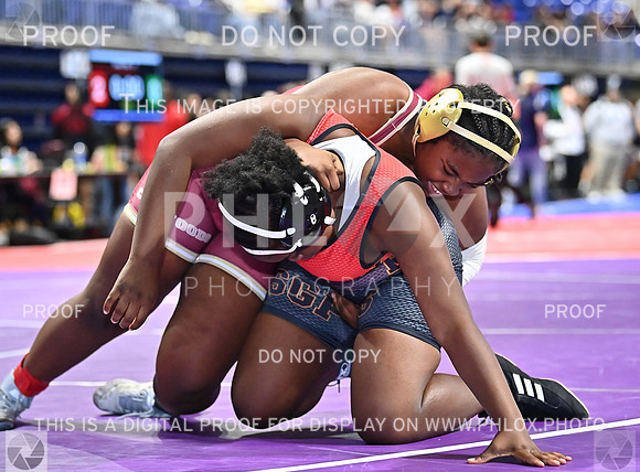 DLS_0778