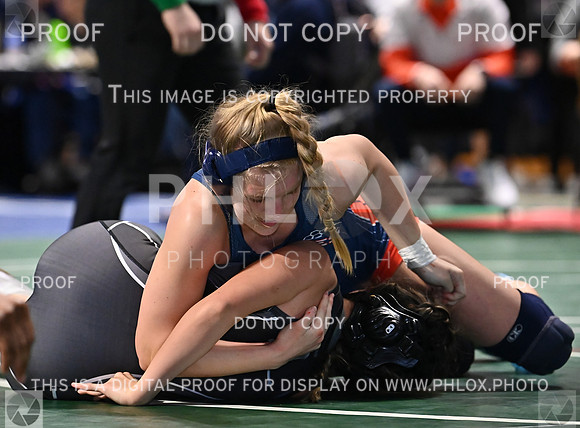 DLS_0697