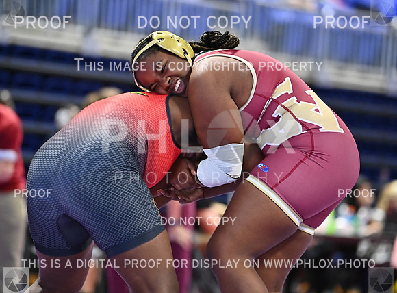 DLS_0782